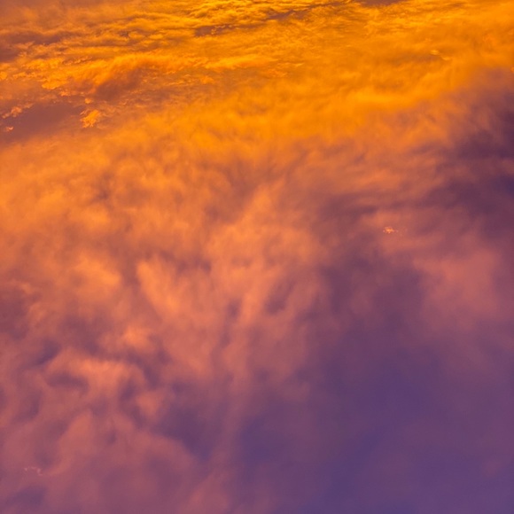 Meet your Posher, Buddy - Picture 1 of 1